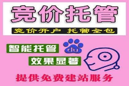 百度搜索推广的优化策略及成功案例分享